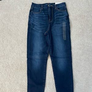 American Eagle Curvy Highest Rose Jegging